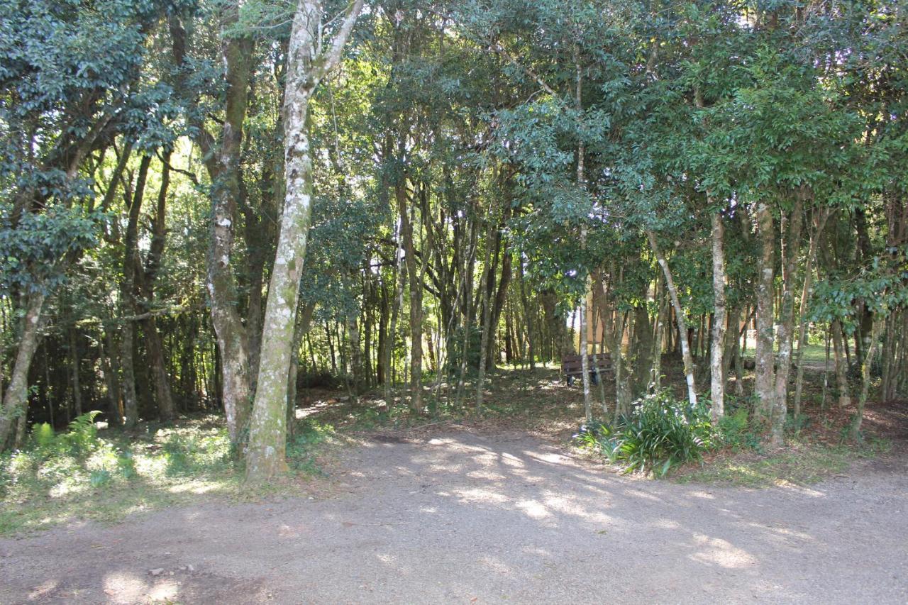 Pousada Floresta Negra Canela Exterior photo